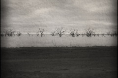 Tracy Ponich, Just Before the Fish Die 3, Lake Pamamaroo, Menindee NSW