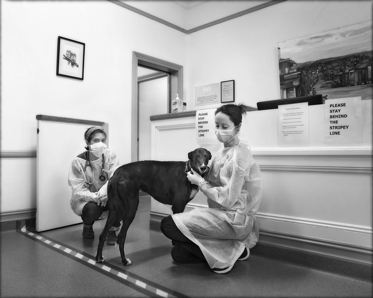 Katoomba Veterinary Surgery - Vet Nina and Nurse Stacee with Floyd