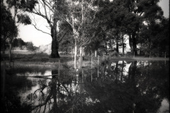 Tracy Ponich: <em>Reflections After Rain, Cecil Hoskins Reserve</em>, photographic print  on cotton fibre  paper, Tasmanian Oak frame with museum glass, 63 x 63 cm.