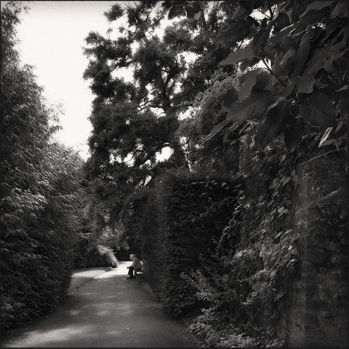 Tracy Ponich: Alone, Dyffryn Gardens