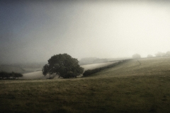 Tracy Ponich: Fog Lifting, Dorset
