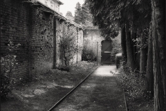 Tracy Ponich: Walled Garden, Tredegar House, Wales