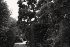 Tracy Ponich: Alone, Dyffryn Gardens