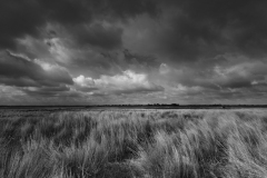 Grasslands of Tiverton Farm, VIC