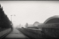 Tracy Ponich: Waiting in the Mist