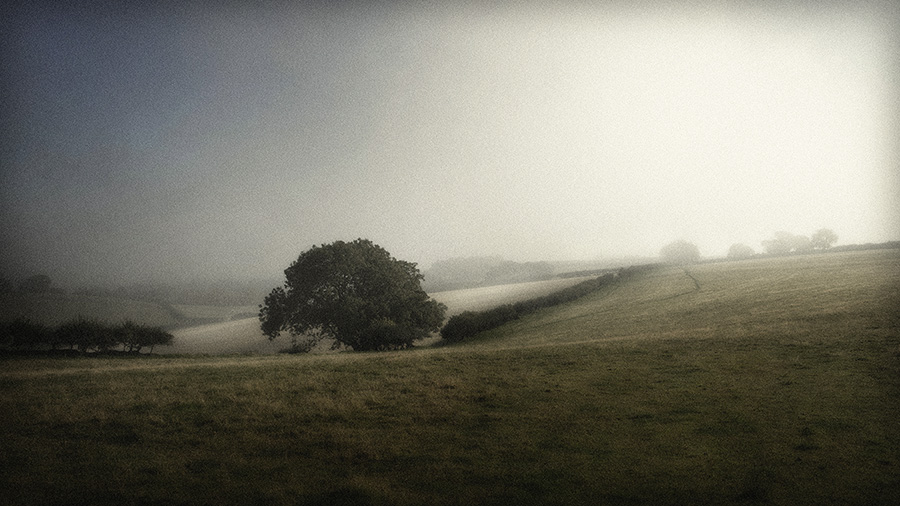 Mist Rising, Dorset