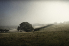 Mist Rising, Dorset