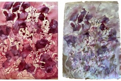Leanne Booth: test prints. Inks from blackberries and grapes (L). Dried inks with addition of ochre and dirt (R) -  all  materials from Green Slopes & Hillenvale.