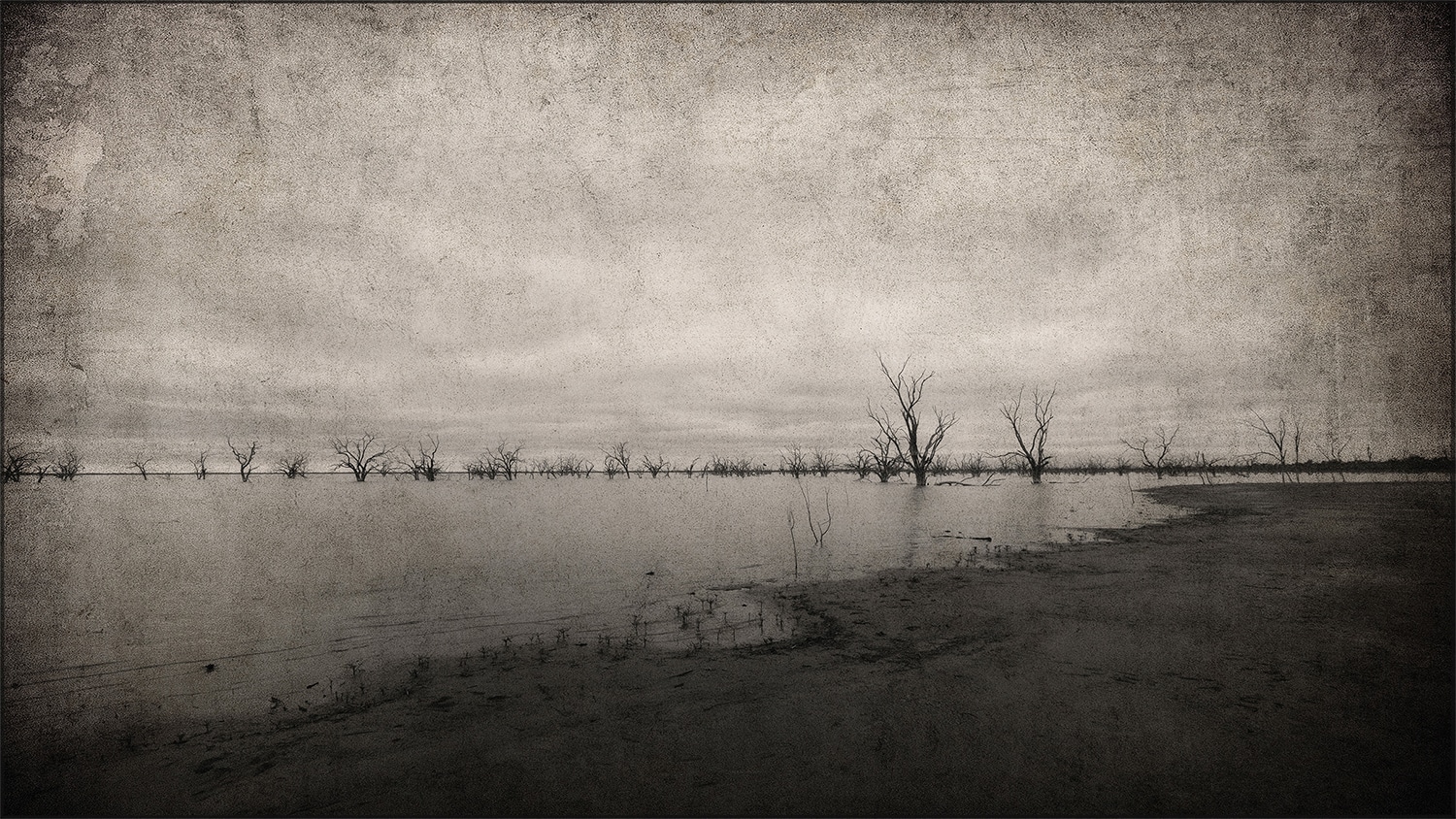 Photographer Tracy Ponich, Lake Menindee - Pamamaroo