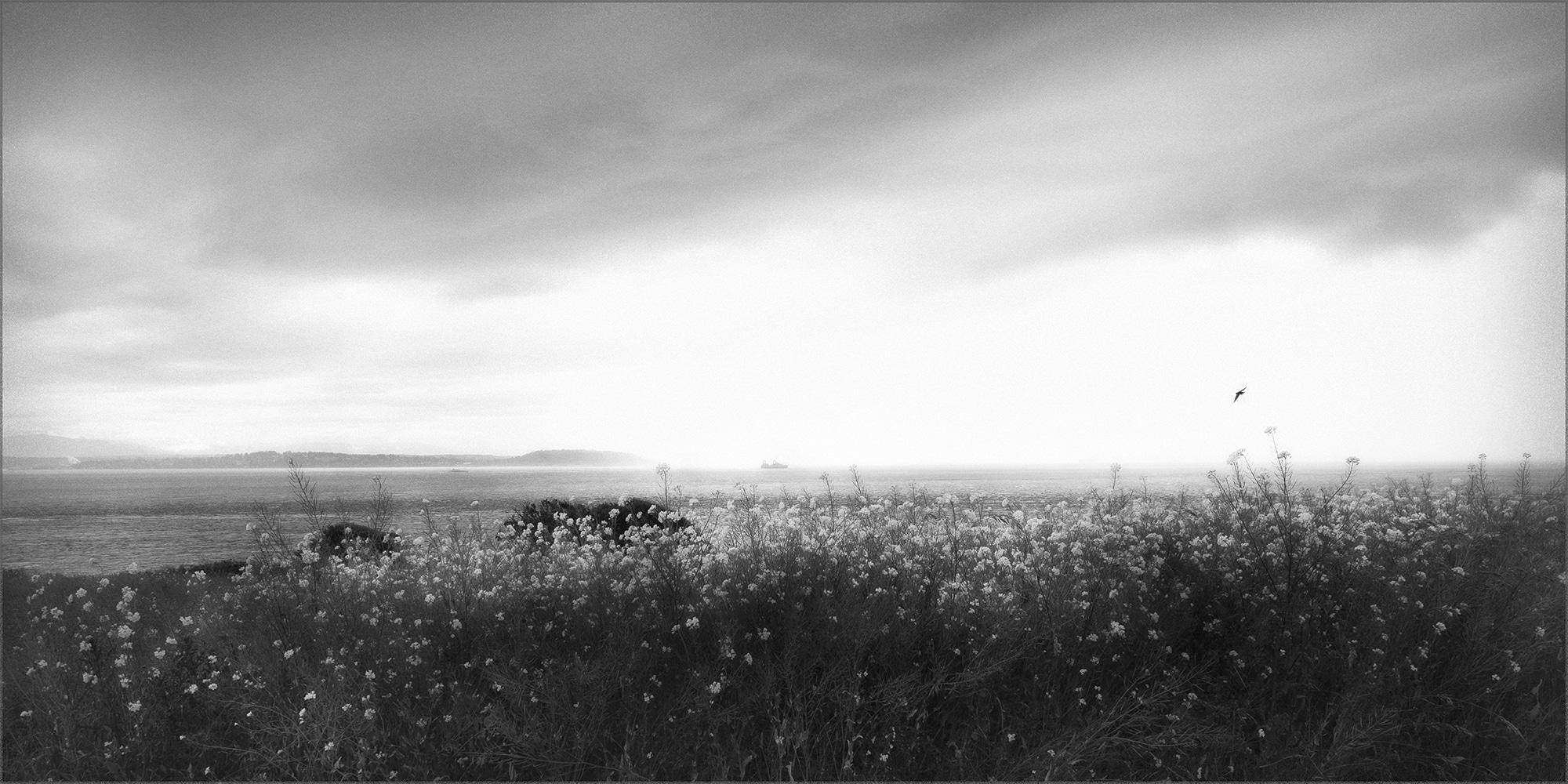 Tracy Ponich, Feathermark Photography: Pacific NW, Fort Casey